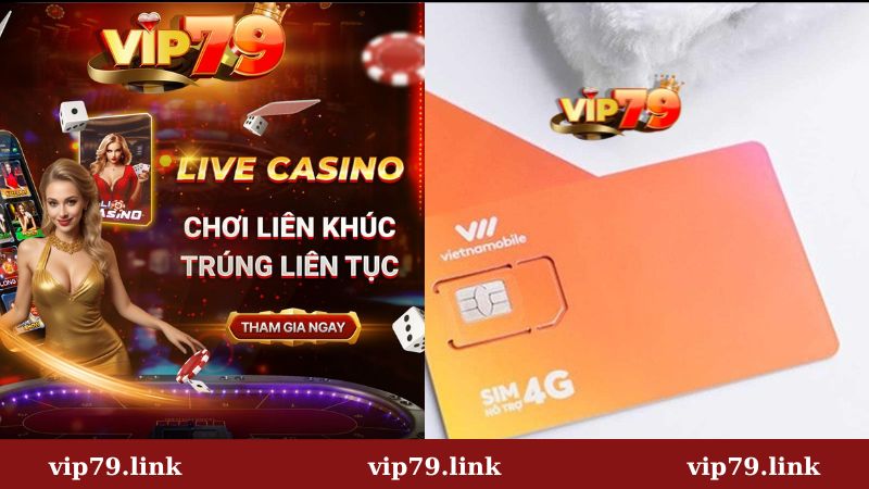 Đăng ký 4G nhà mạng Vietnamobile chơi Vip79